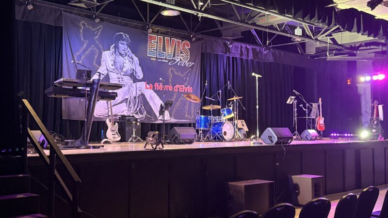 Elvis Fever – La Fièvre d&rsquo;Elvis
