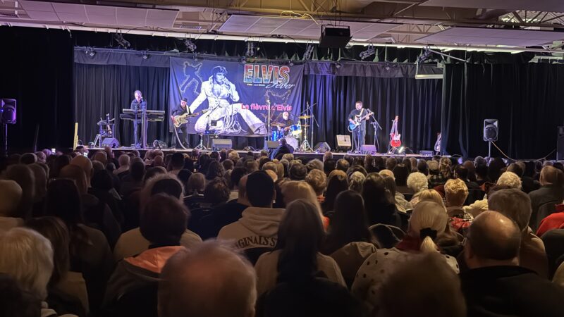 Elvis Fever - La Fièvre d'Elvis