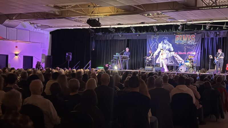 Elvis Fever - La Fièvre d'Elvis